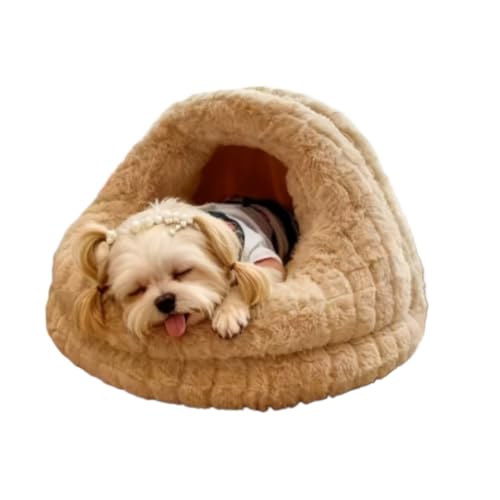 fBA[Opxbh lGΉ O\ 􂦂 pxbh ubZEeA efB ^p ybgLp Q \t@NbV t@bViuŉ (J,?15?)