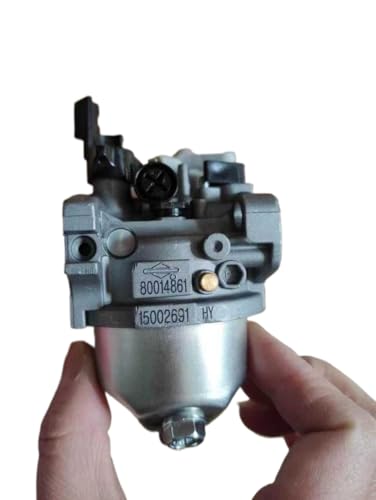Carburateur 595649 moteur BS 80014861 pour stopper les pannes
