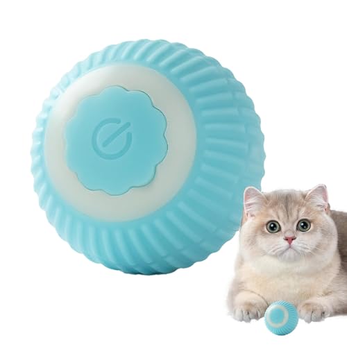 Generic pC^NeBu{[ ? d][rO{[ ϋvABSVRf OΉybgߋ ()