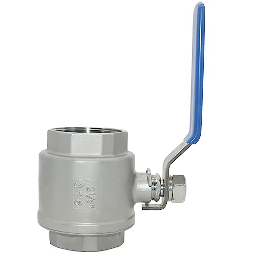 Image of DAN SPEED 2-1 /2 inch NPT Female 316 Stainless Steel Full Port Ball Valve Vinyl Handle WOG1000 (2-1 /2 inch)