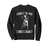 Photo Gallery today is my birthday funny cow dichiarazione felpa Photo Gallery today is my birthday funny cow dichiarazione felpa