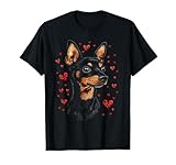 Chien Pinscher nain Chien de la Saint-Valentin