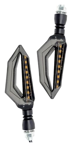 Clignotant moto étanche blanc pour Z900RS et ZZR600 (2 pièces)