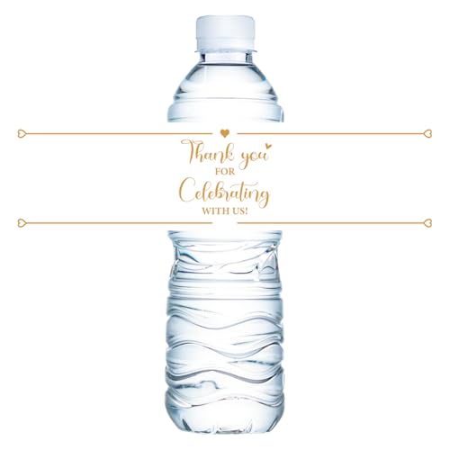 TL[EFfBOEH[^[{gx hbvXebJ[ 100 EH[^[{gp xr[V[{gx uC_V[p[eB[p A03x1318