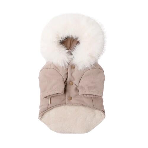 moncheri VF [t[ht@[WPbg]   hbOEFA ^ (S/x[W) 킢  o s lC uh gCv[h `