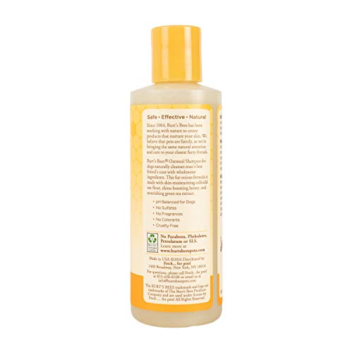 Burt's Bees for Dogs Natural Oatmeal Shampoo with Colloidal Oat Flour and Honey| Oatmeal Dog Shampoo, 4 Ounce Dog… - Image 2
