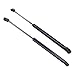 ApplianPar 2Pcs Front Driver and Passenger Side Hood Lift Support for Murano 2015-2021