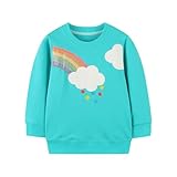 Boy Dinosaur Sweatshirt Toddler Long Sleeve Cotton Space Pullover Cartoon T-Shirts Sport Top Tee for Kids 2-7T