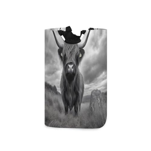 Jihqo Laundry Hamper Basket Highland Cow Gray Collapsible Nursery Storage Bin Waterproof Clothing Baskets for Home Bedroom Bathroom Washing Room