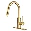Pull Down Faucet