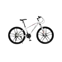 ライス先輩　24インチ 身長127-160cm 定価5.5万円 楽天市場】レースでも使えるハイスペックモデル24インチBMX 街