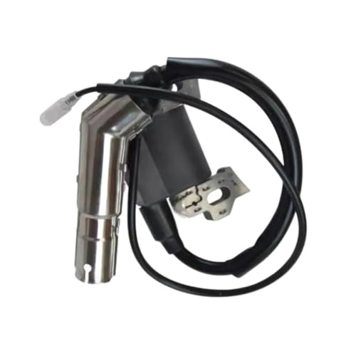 Bobine d'allumage résout ratés démarrage moteur compatible 18-584-01-S