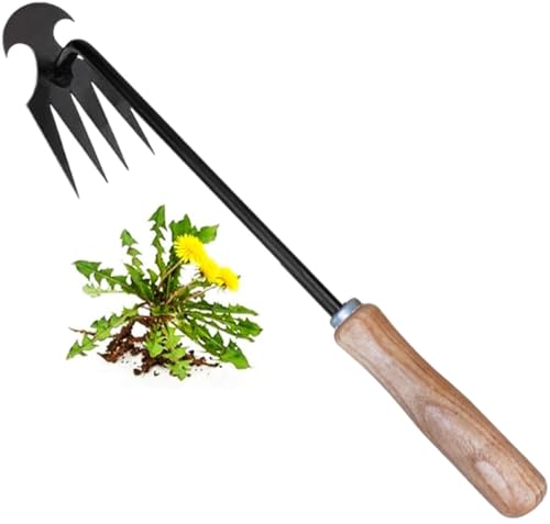 REDBUILD® Garden Weeding Tool with Wooden Handle || Weeder Hand Tool 4 Claws || High Carbon Steel || Manual Weed Puller for Lawn and Garden || Gardening Tools || Weed Removal Tool (Carbon Steel)