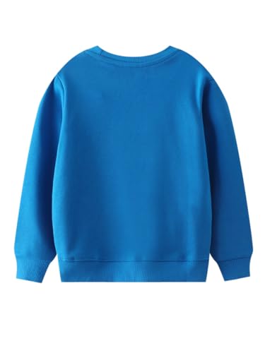 Boys Sweatshirts Casual Sweatshirts Cotton Sweatshirts Long Sleeve T-shirts Crew Neck Cartoon Tops for Boys-4702