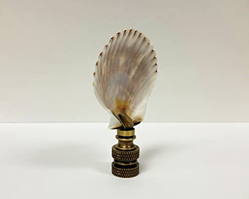 Image of Lamp Finial-SEA Scallop Shell-Natural sea Scallop Shell with Antique Brass or Polished Brass Base (1-pc.) (Polished Brass)