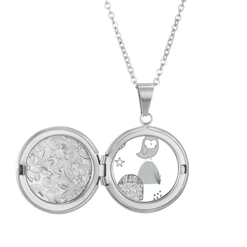 Collier avec médaillon cage à oiseaux nordique et chaîne en acier