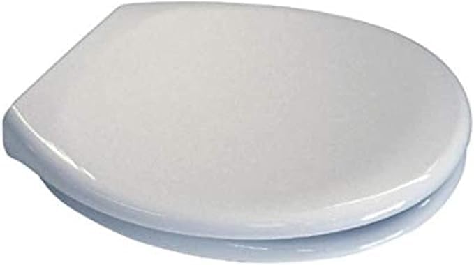 WACKER RAK Ceramics Soft Closing Toilet Seat Cover For Modern And Classical Bathroom With Hygiene Condition (Rak Karla)