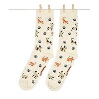 Roits Chaussettes Chats Crème Femme 36-40 - Chaussettes Fantaisie Originales Rigolotes Drôles à Motifs Multicolore Qualité