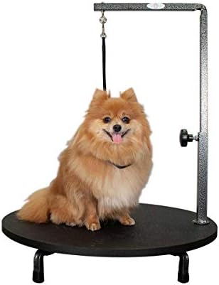 Ryan’s Pet Supplies Paw Brothers 24in Rotating Table Top Grooming Station