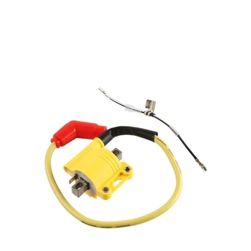 Boîtier CDI 12V pièce rechange allumage moto ZhongShen NC250 300