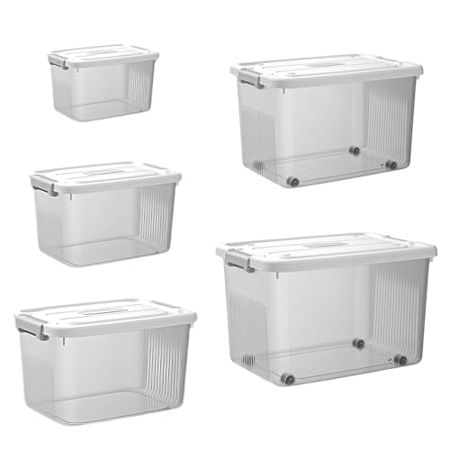 Image of Ash & Roh Plastic Storage Box /Bin /Container with Locking Lid - Sturdy and Versatile Home Organizer, Available in Multiple Size. (1, TRANSPARENT, COMBO SET)