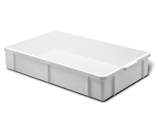 Giganplast Transport Caja, Plástico, Blanco, 60x40x8 cm