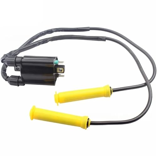 Bobine d'allumage pour Honda VTX1300 et VT1300 compatible 30700-MEA-671