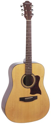 Hohner HW350 Full-Sized Dreadnaught Acoustic Guitar with Hardshell Case