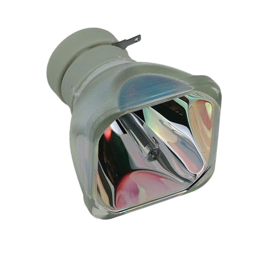 Ampoule de projecteur DT01021 rechange pour CP-X3010N CP-X3011 lamp
