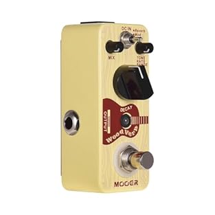 Tone Introduction: WoodVerb has three reverb modes: Reverb / Mod / Filter. Reverb: Simulates a Plate reverberation. Mod: Adds modulation effect to the reverb. Filter: Adds a sweeping filter sound to the reverb. A Wide Range of Adjustment Options: Thr...