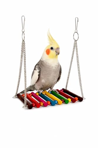 Image of KSK Bird Swing for Cage | Colorful Wooden Hanging Parrot Swing Perch | Strong Steel Chain Bird Toy for Budgies, Lovebirds, Cockatiels & Small Parrots