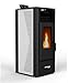 Stufa a Pellet 10kW ad Aria Ventilata Rodi Riscaldamento Alta Efficienza 100mq...