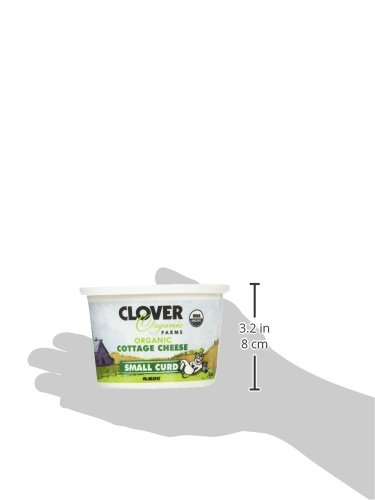 Clover Sonoma, Organic Small Curd Cottage Cheese, 16 oz