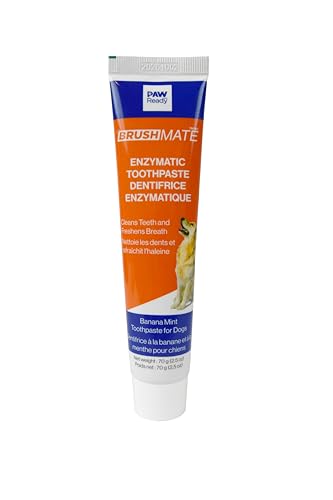from Doggy Breath to Doggy Fresh Dog Dental Care Enzymatic Toothpaste for Dogs | Cleans Teeth and Freshens Breath | Safe for Puppies, Clinical Care, Banana Mint Flavor – 1 Pack 70g (2.5 oz) from Doggy Breath to Doggy Fresh Dog Dental Care Enzymatic Toothpaste for Dogs | Cleans Teeth and Freshens Breath | Safe for Puppies, Clinical Care, Banana Mint Flavor – 1 Pack 70g (2.5 oz)