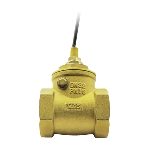 Interruptor de flujo agua tipo aleta DN25 con sensor de inducción SEN-DB32
