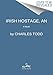 Irish Hostage, An: A Novel (Bess Crawford Mysteries)