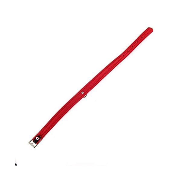 Halsband echtes Elch Leder mit kl. O-Ring, zweifarbig, 14 mm breit, 40 cm lang mit Strasssteine, schwarz – Bild 4