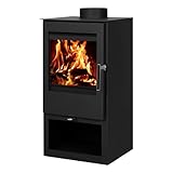 5 kW Kaminofen EWO X101 - Basic Holzofen für Zuhause - Kamin mit kleinem Holzfach
