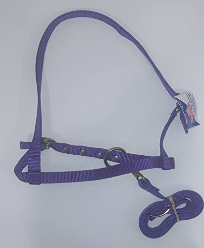 Ron Mar Custom Tack Nylon Tie Down Nose Band w/Strap Pony Purple