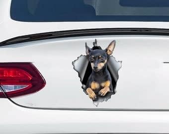 Miniatura 10 de Calcomanía blanca de Chihuahua, calcomanía de coche de Chihuahua, calcomanía para mascotas, calcomanía de perro, calcomanía de vinilo para perro,