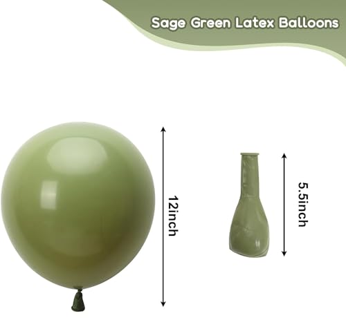 Image of 50 Pcs Retro Balloons Made of Strong Rubber (Sage Green)