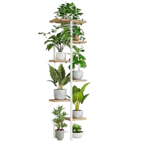 Sefoemutt[X^h 5 iKiAI kX^CI S؍ސw|bgX^h |[bN oRj[rOp (7i8,I[N)