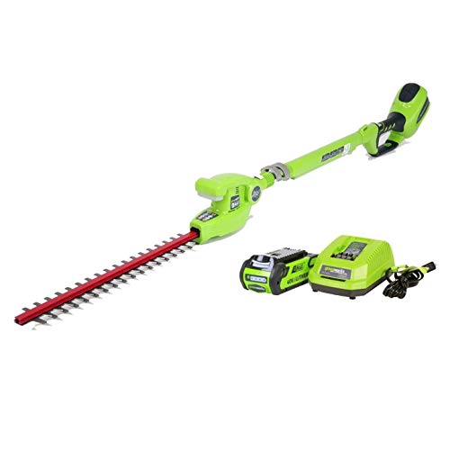 Greenworks 20-Inch 40V Cordless Pole Hedge Trimmer