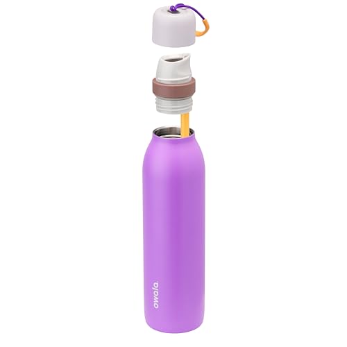 Image of Owala FreeSip Twist Insulated Stainless Steel Water Bottle with Straw for Sports and Travel, BPA-Free, 24-oz, Purple /Purple (California Grapevine)