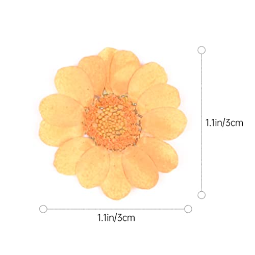 Flores Secas Prensadas Naturales para Manualidades 40 Piezas miniatura 2