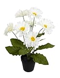 Seidenblumen Roß