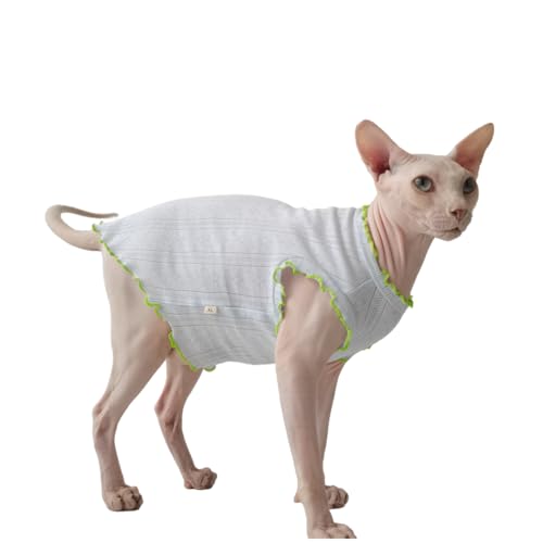 UGYMSIA ybg L m[X[uxXg єL t  ^ȃxXg xr[n u₩ŒʋC XtBNX єLf{ ɗD_炩 (Cgu[,M)