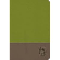 NRSV Wesley Study Bible