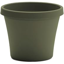 Bloem Terra Pot Planter 12" - Living Green - Durable Resin Pot, for Indoor and Outdoor Use, Gardening, 3.5 Gallon Capacity, Saucer Sold Separately