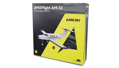 Amewi AMXFlight AM-12 450mm 6G/3D 6-Kanal RTF ferngesteuert Flugzeug RC